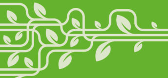 image of vine leaves