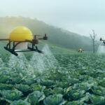 Drones applying inputs to crops