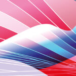 LP Perspectives investment performance flash of colour